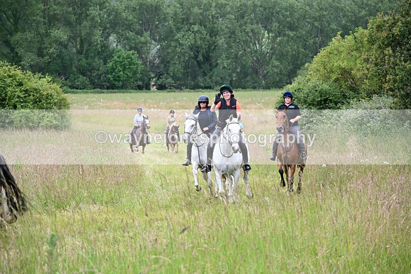 WJ6_8397 - Camera 1 Gallops