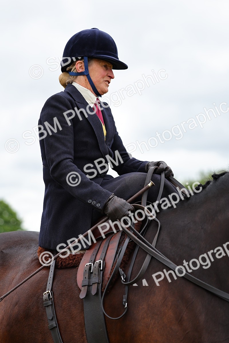 SBM_02832 - Class 9-11 Side Saddle including LIHS Rising Star Ladies Show Horse