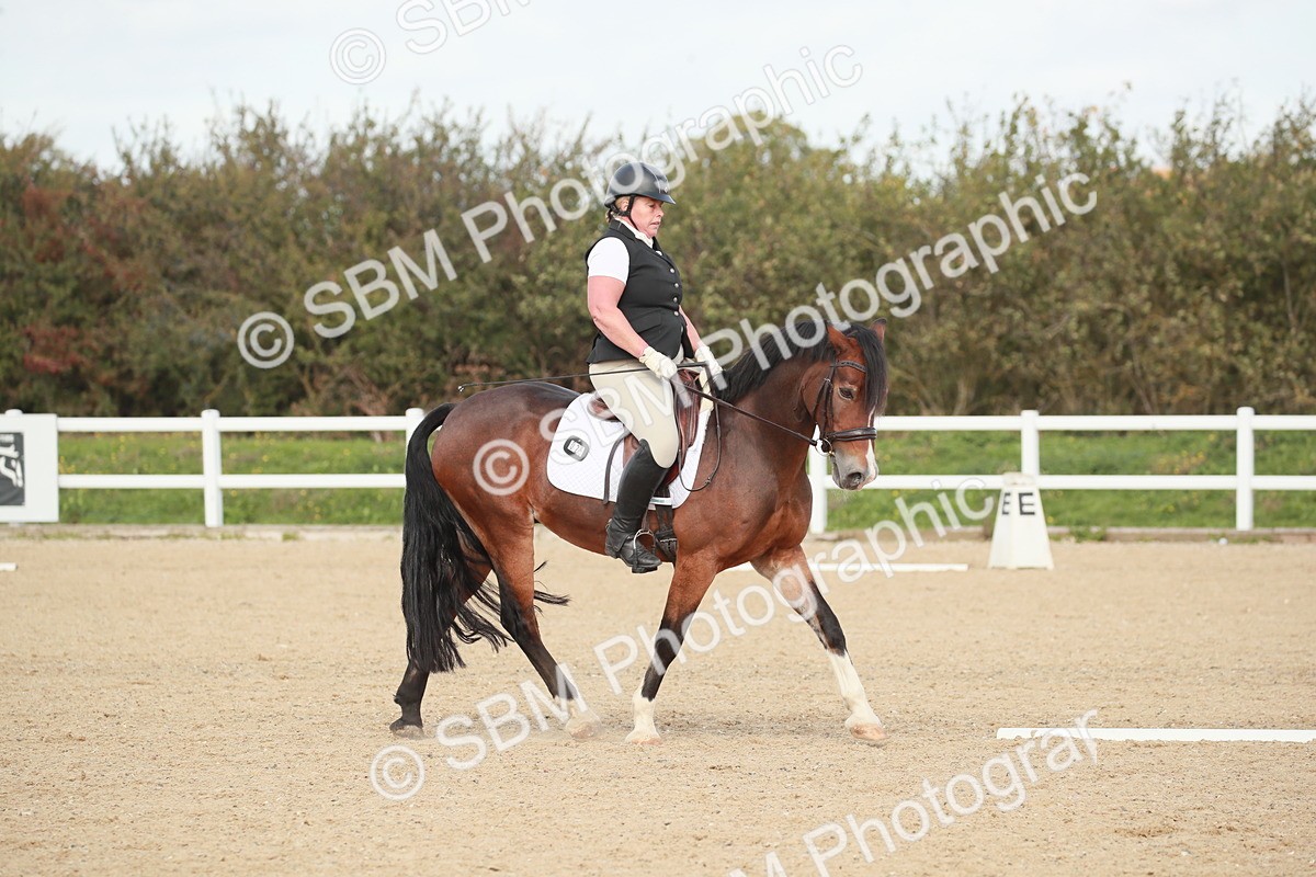 SBM_002195 - Class 6 - Elementary 5