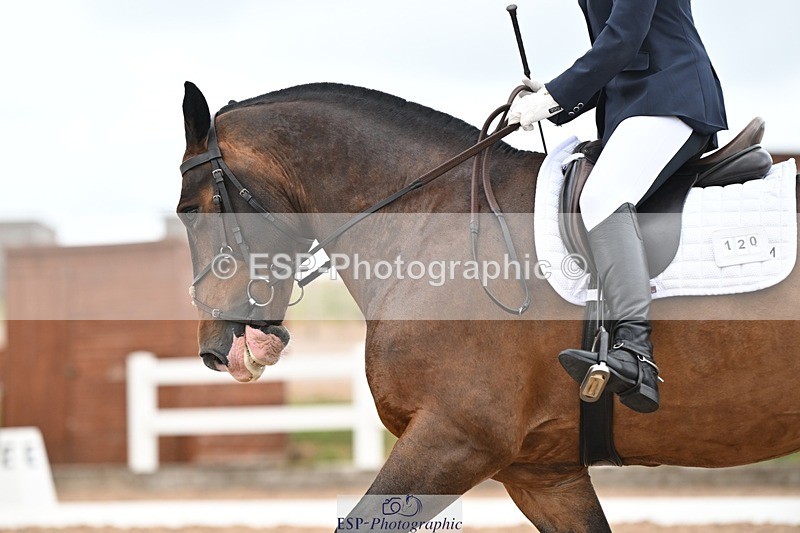 250705-175533-03130 - N3 Section BDNOV3 15.55 to 17.19