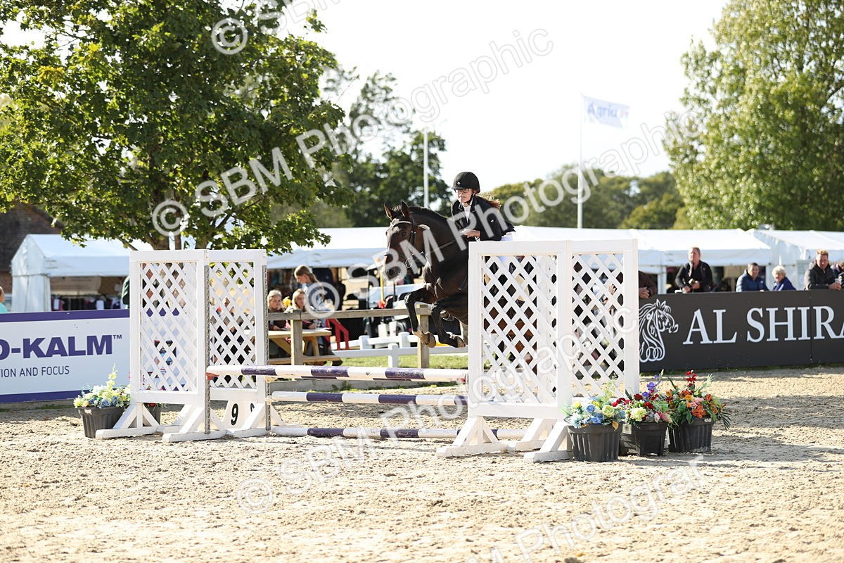 SBM_49608 - J22 - Junior Horse 65cm Championship