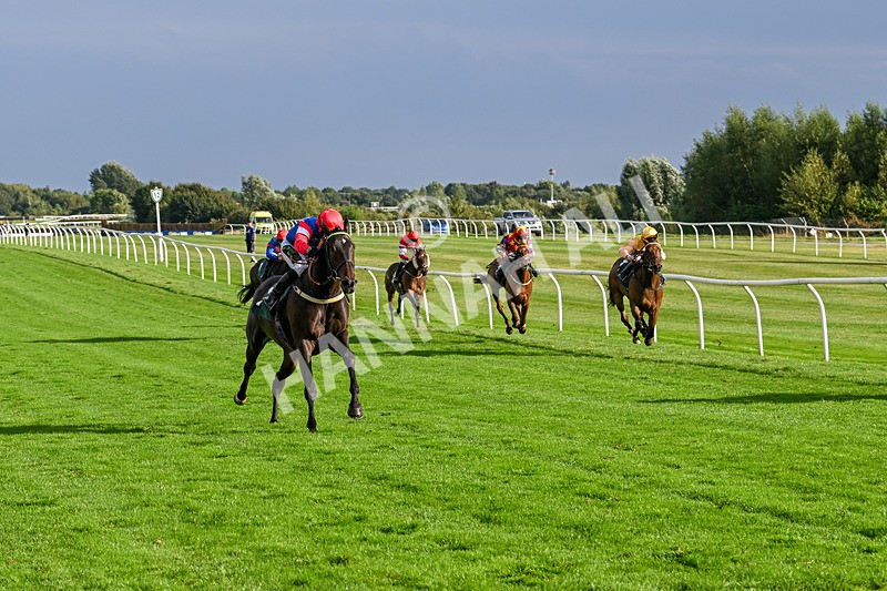 280824-Race 7-Crocodile Power-5072 - Race 7