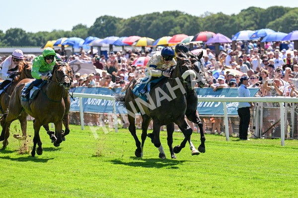 120725-Race 2-Washington Heights-0141 - Race 2 2.35pm John Smith's City Walls Stakes