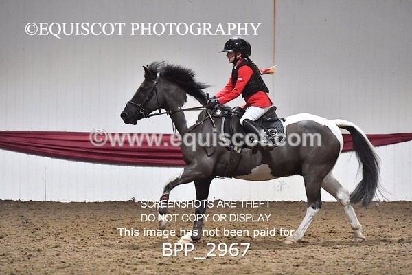 BPP_2967 - CLASS 3 BS PONY Pony British Novice / 0.80m Open