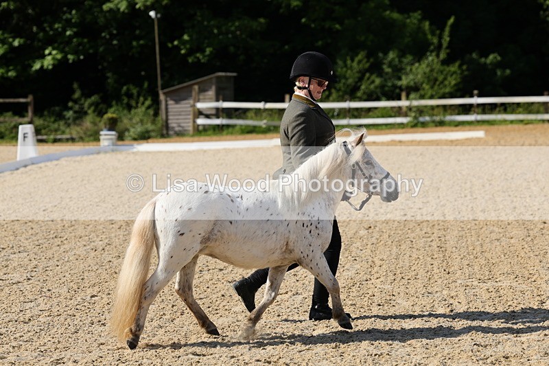 1X9A0603 - Class 3: Youngstock 1, 2, 3 year old not to exceed 153cm