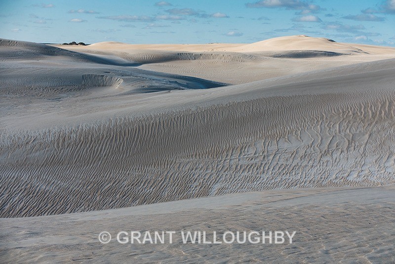 Sandunes Western Australia - Australia
