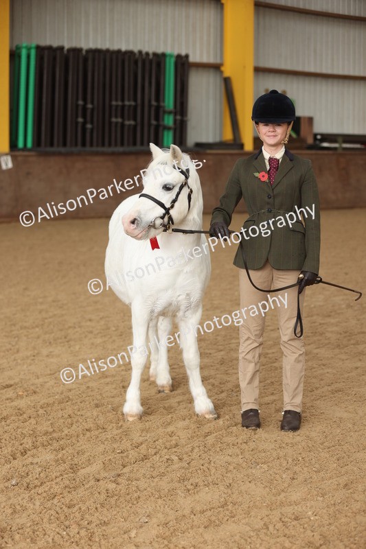 20251109-0565 - Class 21 - Mares 4 Years and over