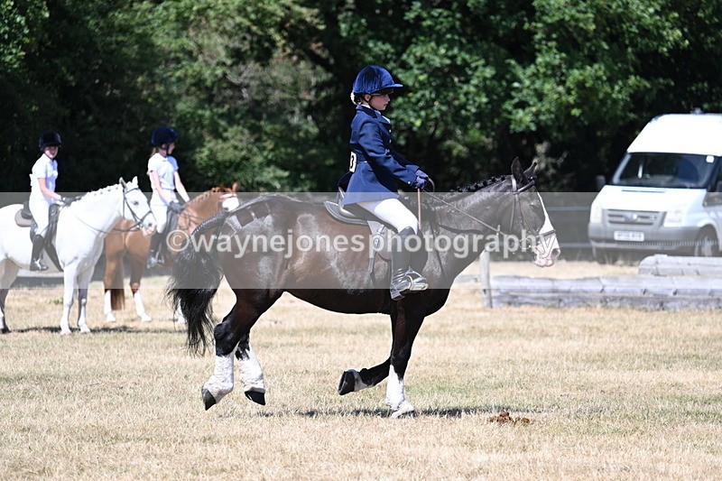 WJ7_3719 - Class 8 Ridden Veterans