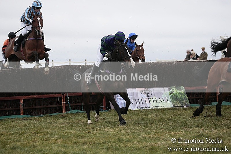 PtP 180218 117 - Combined Services Point-to-Point Larkhill 18/02/18