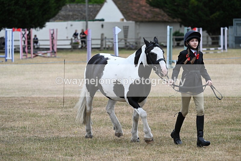 WJ7_8290 - Class 4 Prettiest Mare up to 14.2hh
