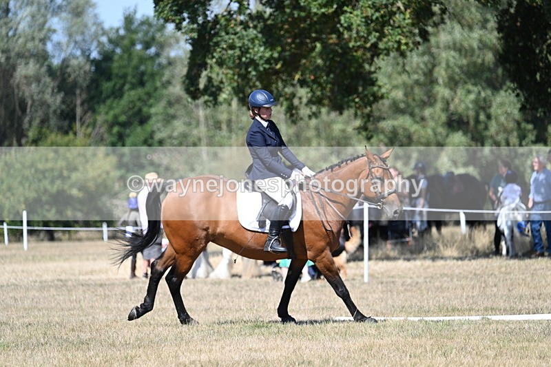 WJ7_0675 - Time 12:03 to 12:23