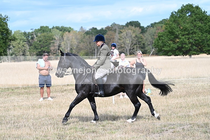 WJ7_6157 - Class 13 Ridden Veterans
