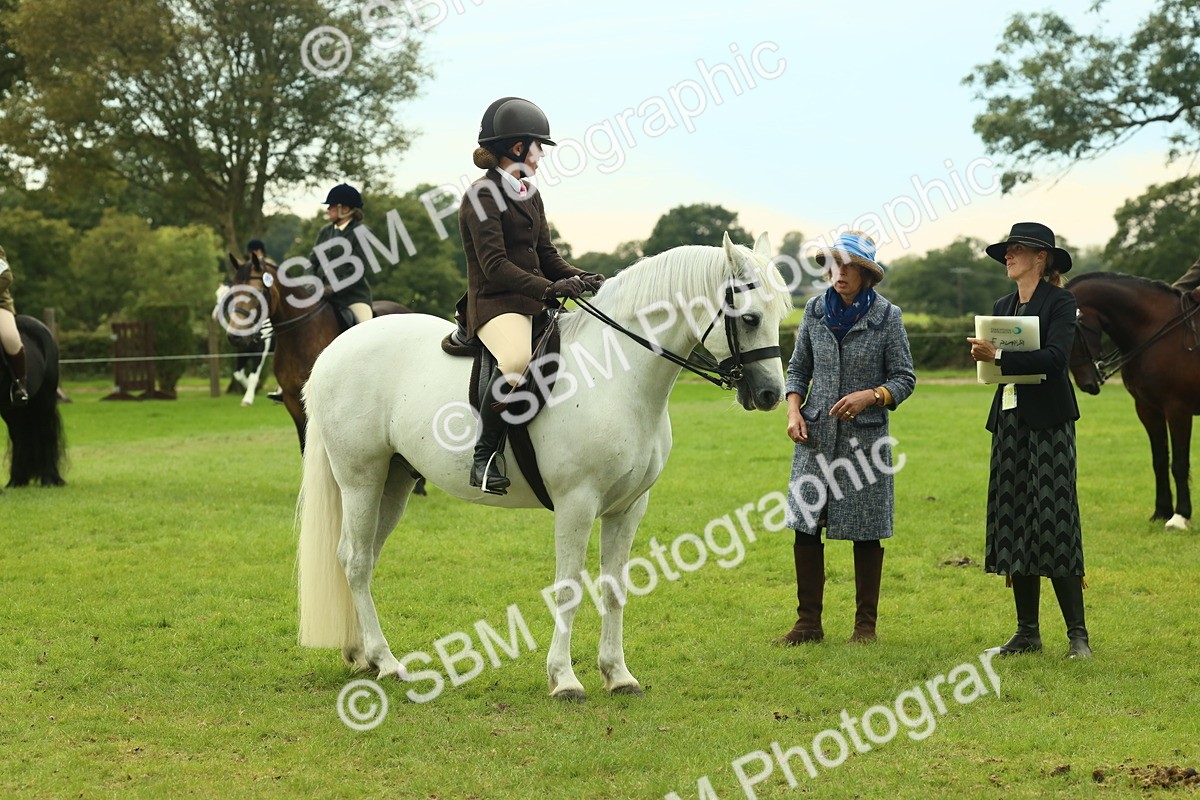 SBM_71973 - S60 - Mountain & Moorland Ridden Large Breeds