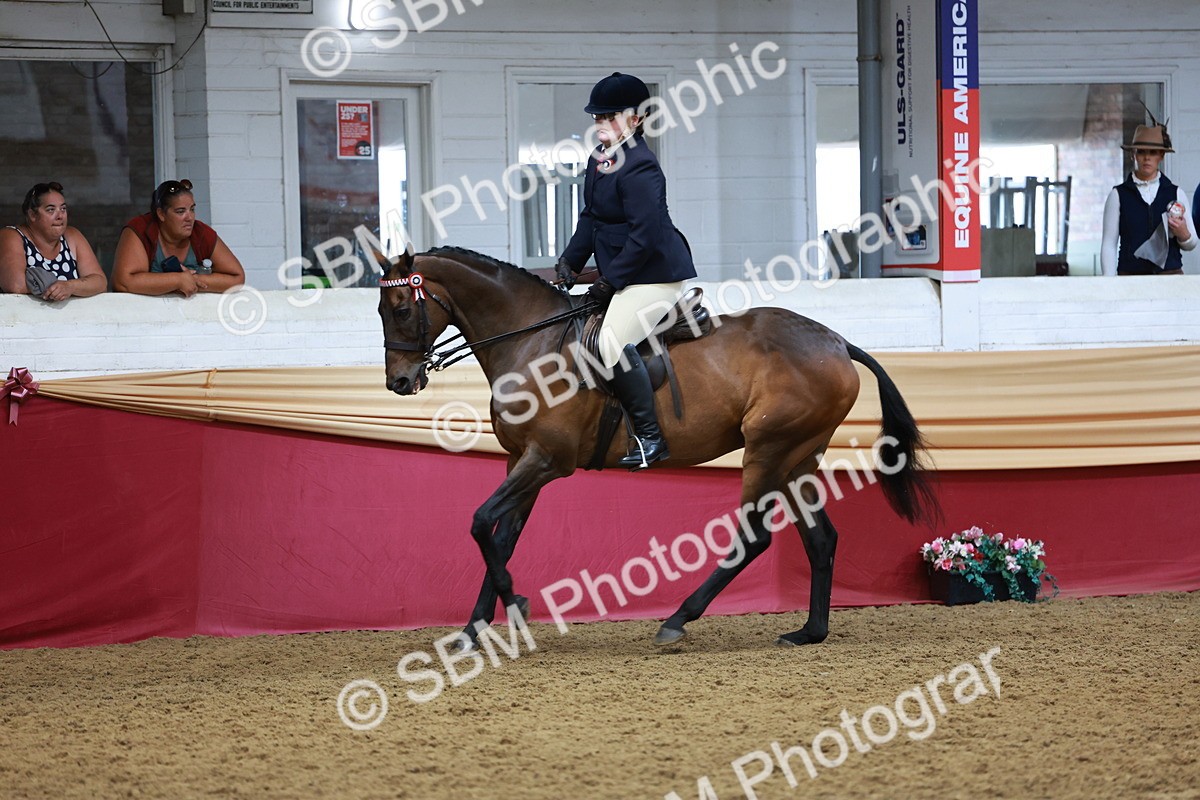 SBM_14946 - Class 108 - Ridden Retired Racehorse