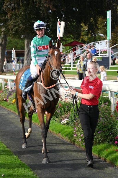 yr04092022r6-47 - Race 6 4.40pm Hanson Springs Stakes
