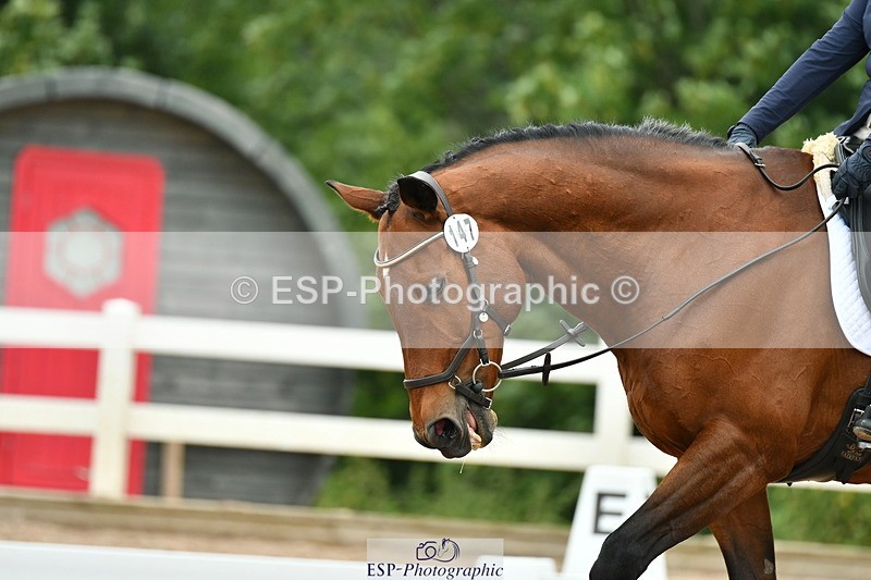 230708A-120705-01276 - Novice 23