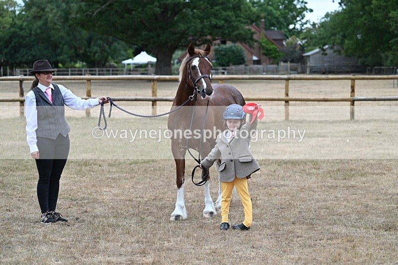 WJ7_8572 - Class 4 Prettiest Mare up to 14.2hh