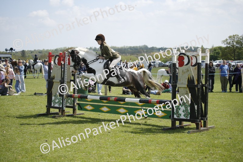20250427-3608 - Class 14 - Absolute Novice 70cm