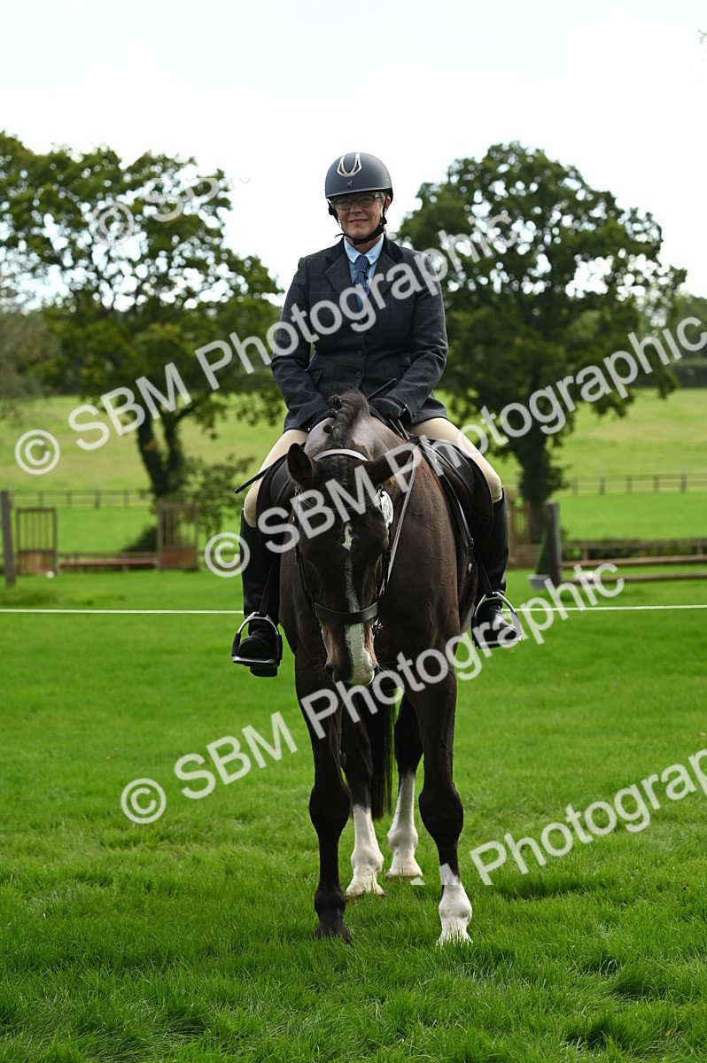 SBM_26378 - S6 - Novice & newcomer Ridden horse