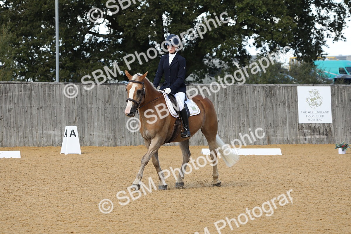 SBM_40560 - D21 - Junior Championship - Intro A