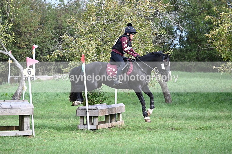 WJ7_8303 - 60cm Pairs