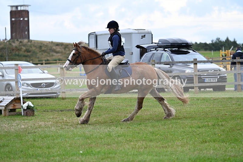 WJ7_7710 - 40cm Time 10:49 to 11:18