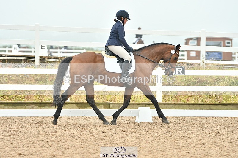 230708A-142915-02916 - Elementary 43