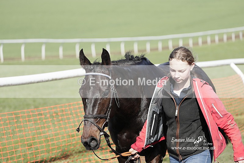 PtP 100423 939 - Old Berkshire Point-to-Point Lockinge 10/04/23