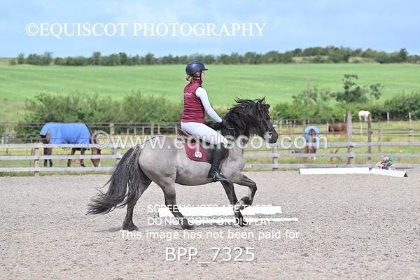 BPP_7325 - PRELIM 3