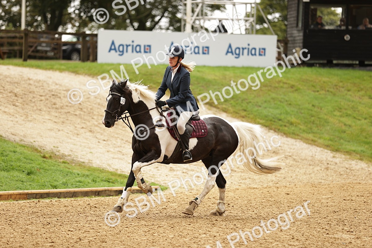 SBM_33058 - J38 - Senior Horse & Pony 80cm Championship