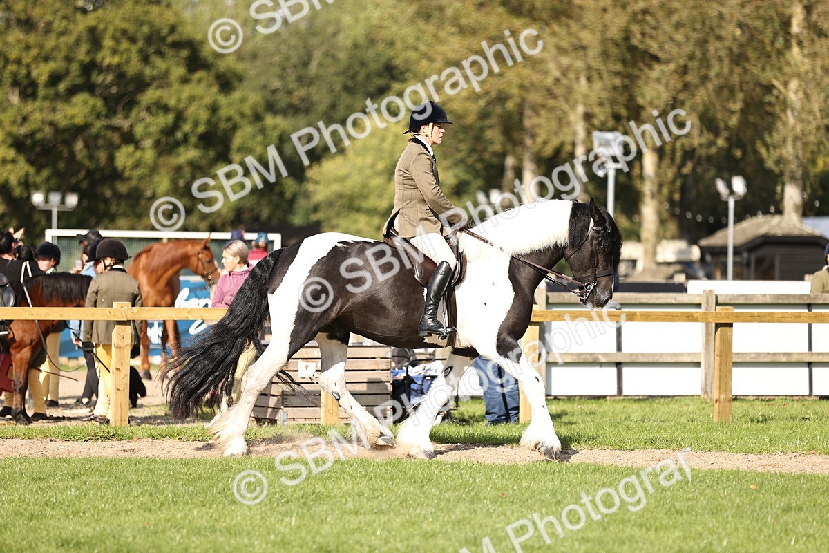 SBM_26336 - S6 - Novice & Newcomers Ridden Horse