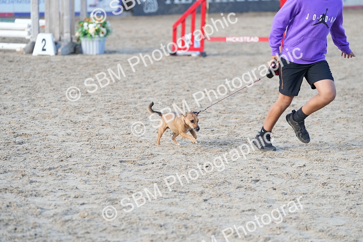 SBM_29097 - J43 - Horse & Hound Open 50cm