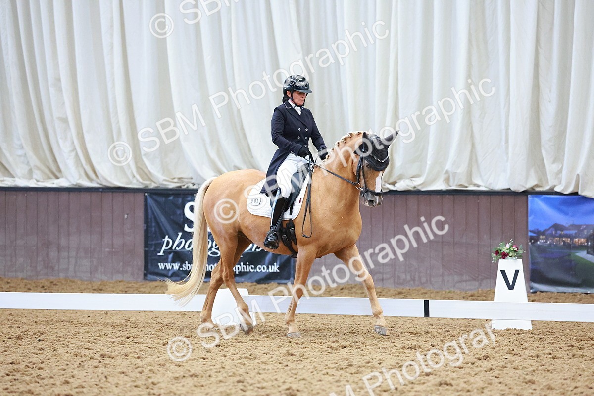 SBM_021289 - Class 25 - FEI PSG Bronze