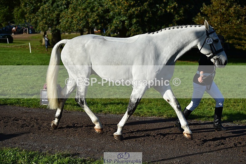 231022-095734-22139 - 434-SPINK.BUSTER-Sue.Parkes-TrotUp+SJ