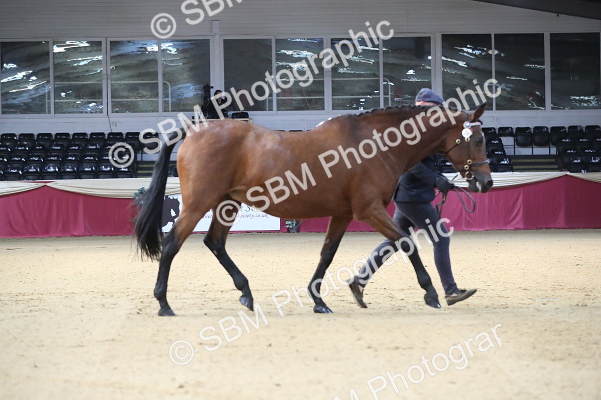 SBM_00239 - Class 1a - Area IH Diamond