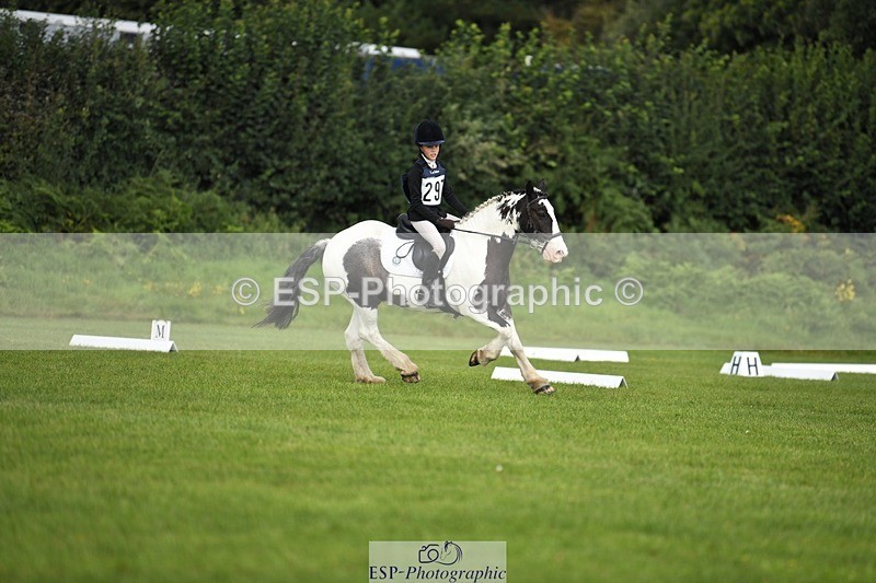 230826-113056-15889 - Sections C & D 10 to End