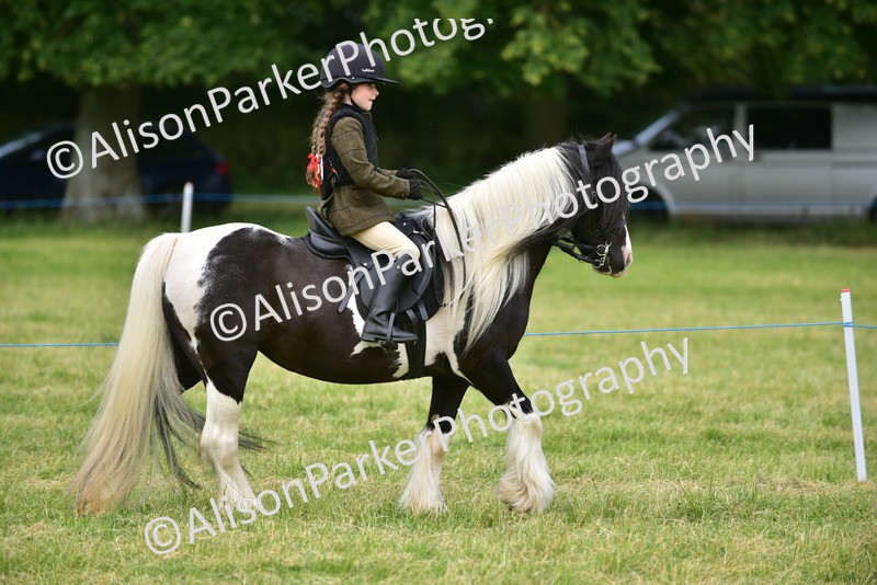20260614-3631 - Class 15 - Prettiest Mare