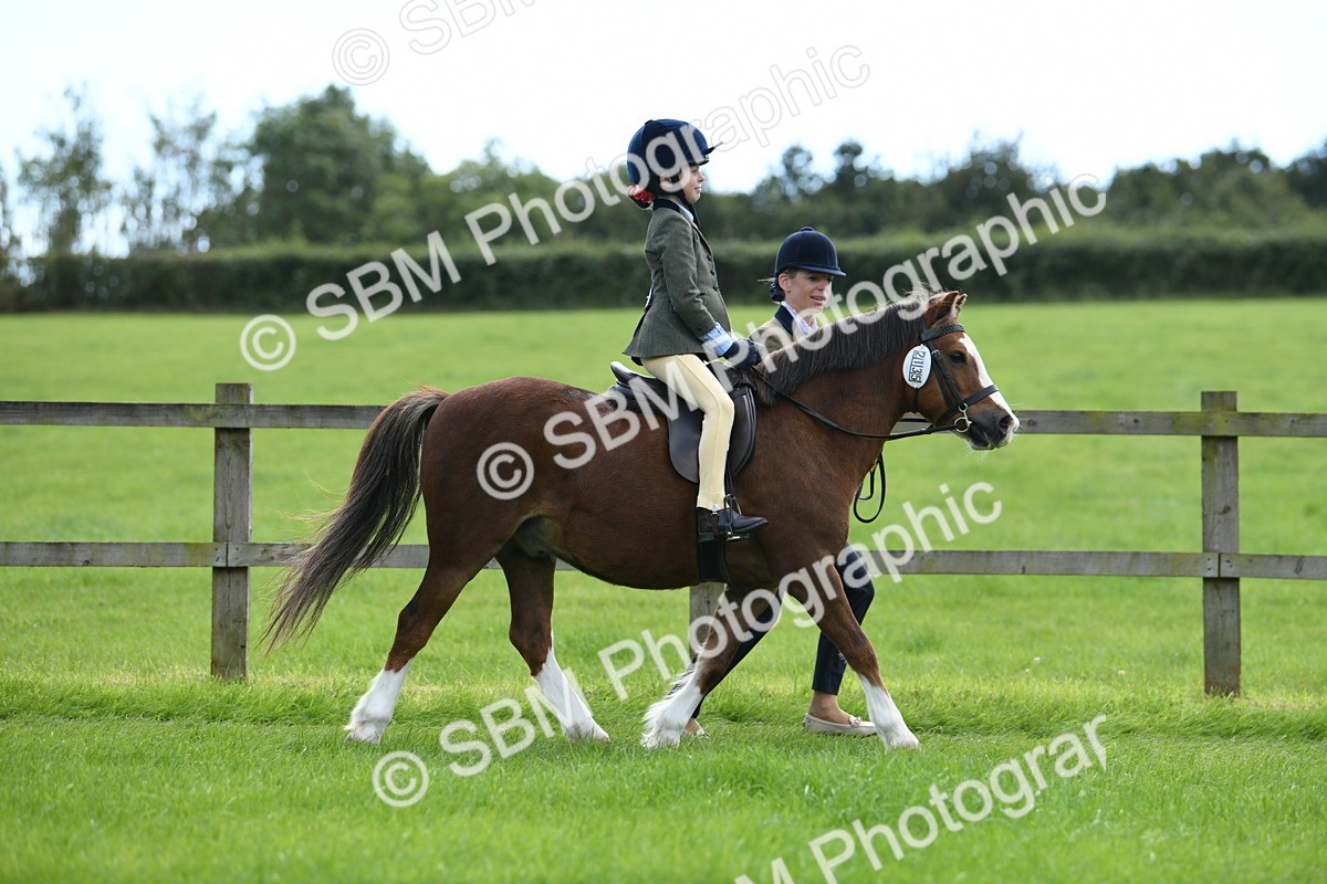 SBM_42458 - S20 - Lead Rein Mountain & Moorland Pony