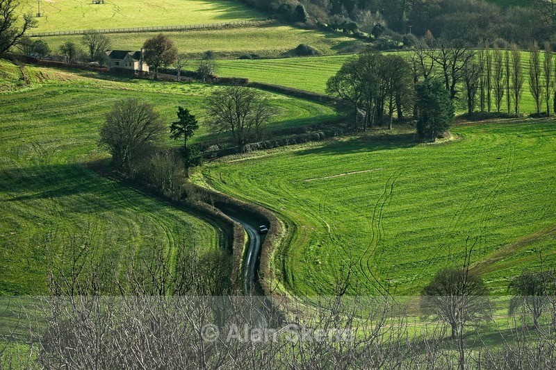 DSC06407 - Gloucestershire
