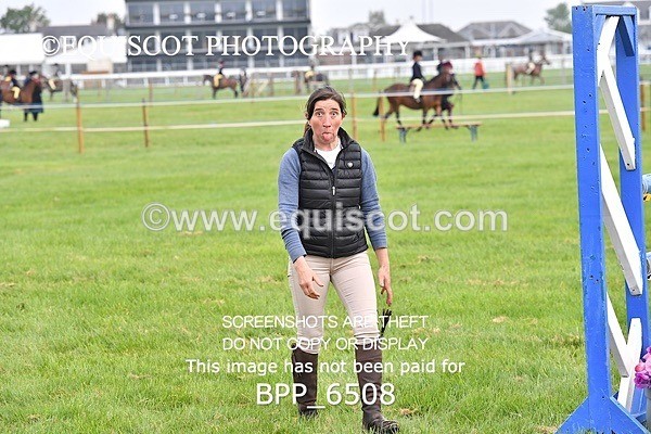 BPP_6508 - CLASS 1 Senior Newcomers/ 1.10m Open