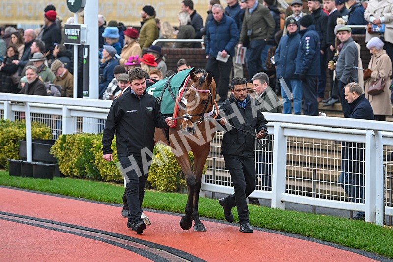 131224-Race 2-Jango Baie-8684 - Race 2