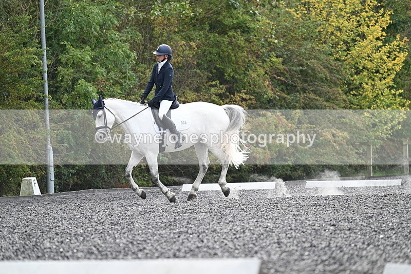 WJ7_5878 - Time 13:30 to 14:08