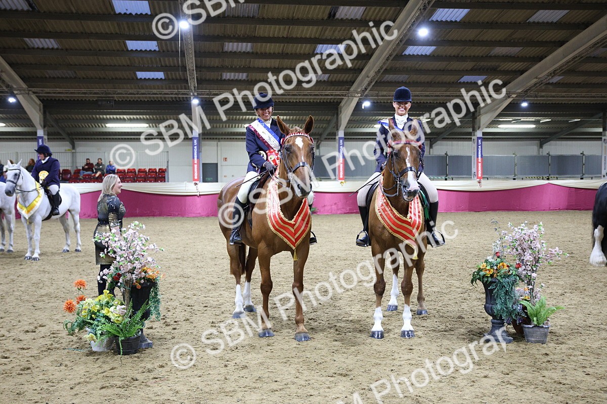 5K7A1541 - Class M Ridden Pairs Champ