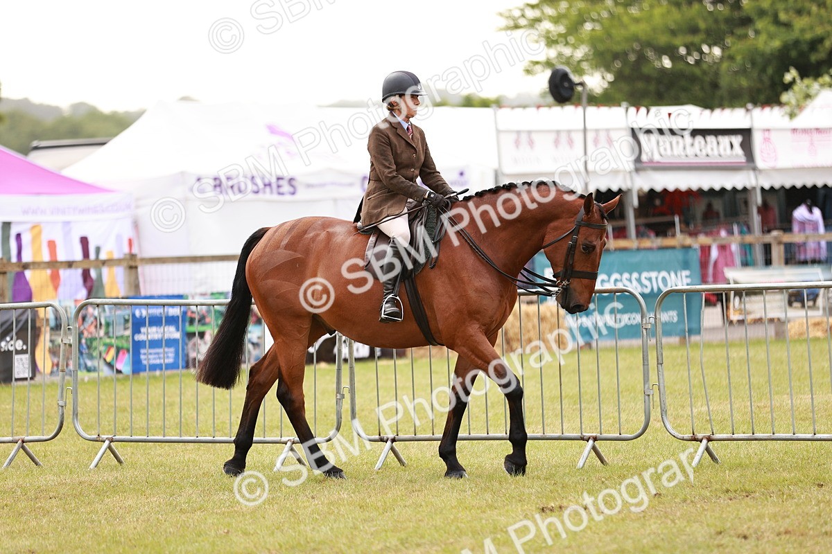 SBM_10735 - Class 81-84 - RIHS Ridden hunters Inc Ladies Hunter