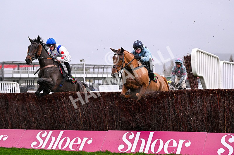 141125-Race 3-Leave Of Absence-9936 - Race 3