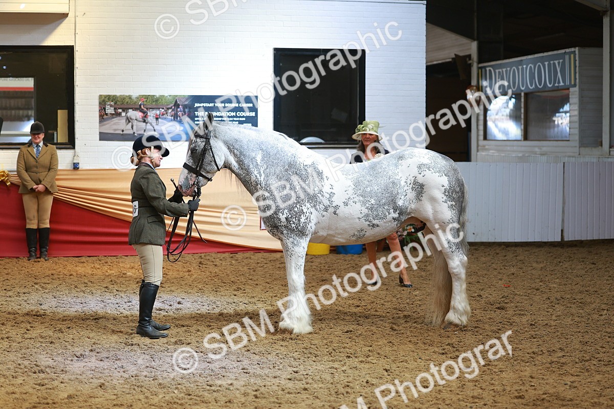 SBM_12623 - Class 103 - HOYS Veteran Qualifier - Ridden Pre Vet