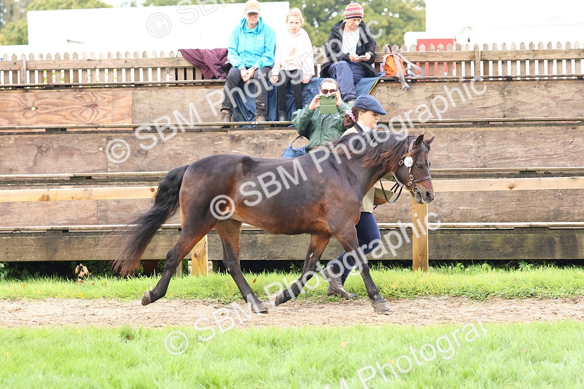 SBM_39471 - S24 - Young Veteran In Hand