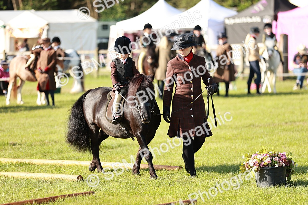 SBM_11109 - Class 106-107 - BSPS LIHS Working Sports Pony