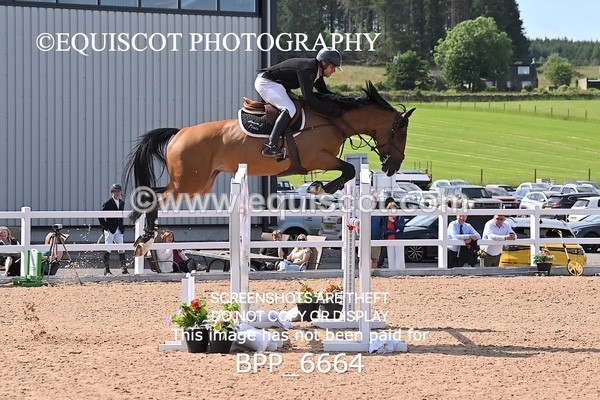 BPP_6664 - CLASS 13 FRI HOYS Talent Seeker Qualifier Inc 7 Year Old Horse Championship Qualifier