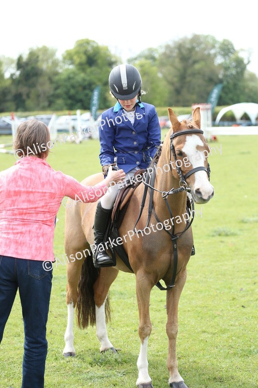 20260426-2121 - Class 15 - Absolute Novice 70cm